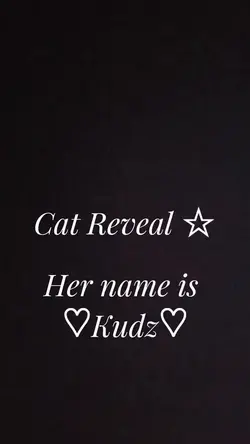 Cat Reveal 
