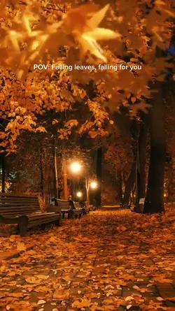pov: falling leaves