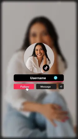 INTRO PROFI