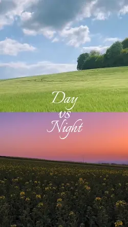 Day vs Night