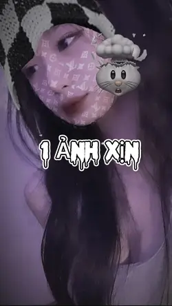 Trình chiếu 