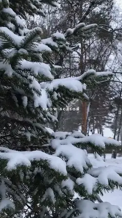 snow season