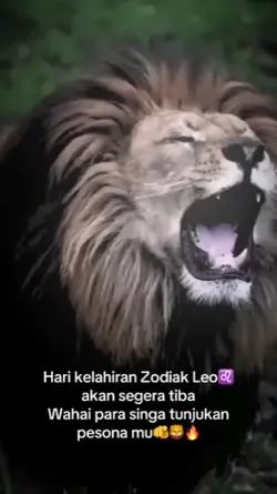 JJ ZODIAK LEO