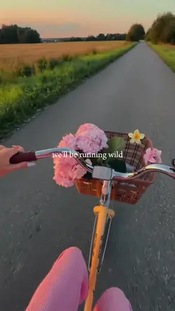 running wild jin bts