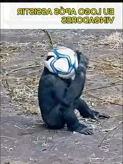ฮ่าฮ่าฮ่า