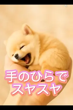 たまらなくかわいい手のひらワンコ