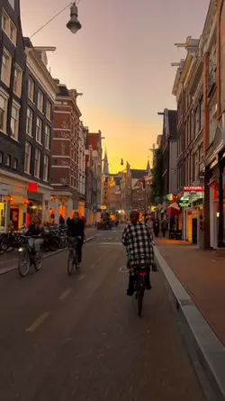 vlog