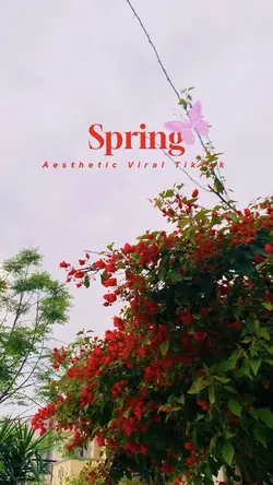 Cinematic Spring