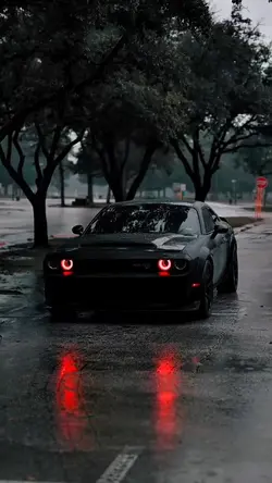 CAR [ TREND ]