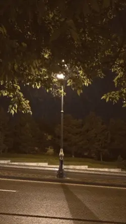 new slowmotion trend