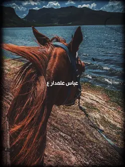 Alamdar as🙌🏻🖤 