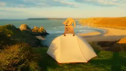 Funny dancing dog
