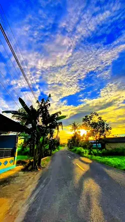 filter IP HD cerah