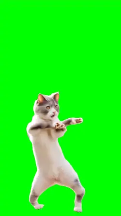 kucing nari