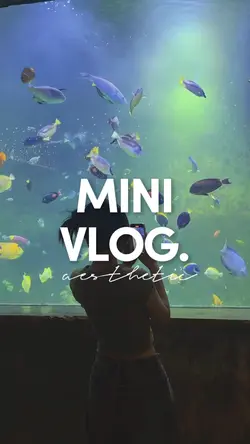 MiniVlog 12 clips