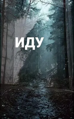 Иду домой 