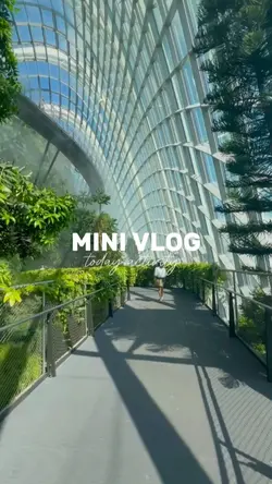 mini Vlog today
