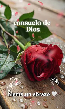 Un abrazo Mamá 🤍