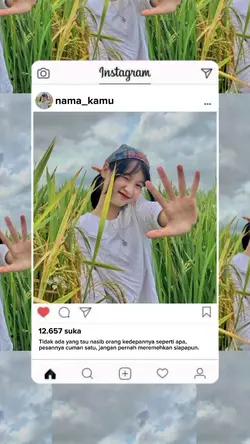 frame Instagram