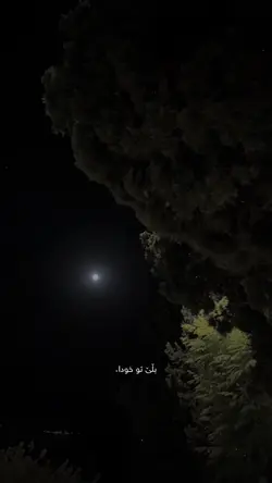 کمیدانە دلم اشوبە🖤،،
