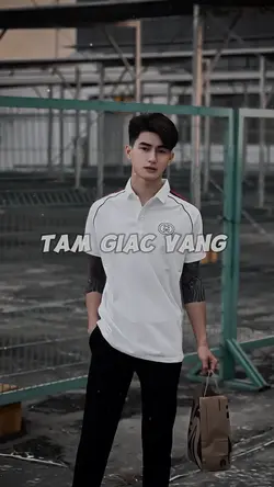 Trình chiếu 
