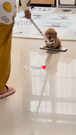 i love my pets