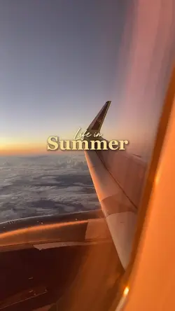 Life in summer