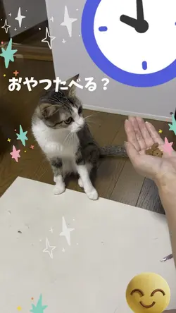 おやつの時間で〜す