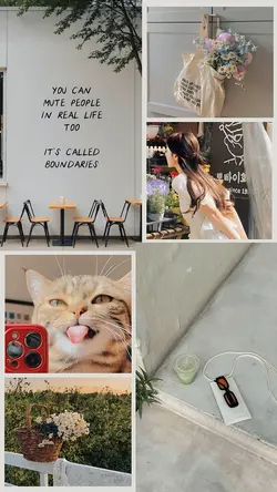 6 PIC