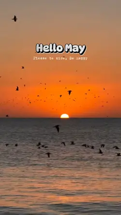 Hello May