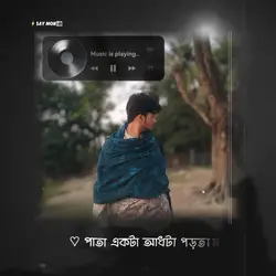 বোঝেনা সে বোঝেনা 