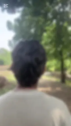 aditya