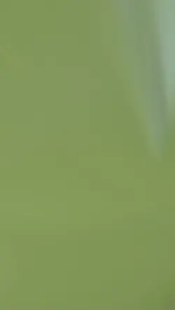mẫu bóng đá 