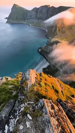 8 clips nature story