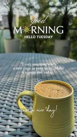 Hello Tuesday 🌞