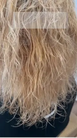 Gold Hair Argan