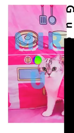 ノリノリ音楽に
