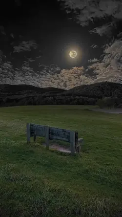 MALAM YANG SEJUK