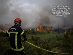 Feu de forêt.