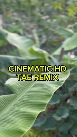 TAE REMIX 