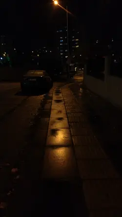 Özlemek 