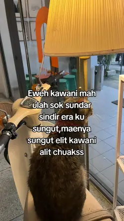 jj aweh kawanimah 