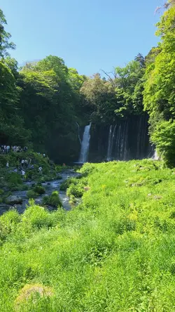 Nature
