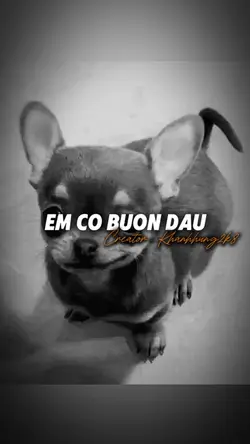 Từng hạt tuyết rơi