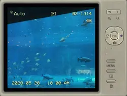 camera dump
