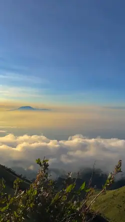 aku telah jatuh love