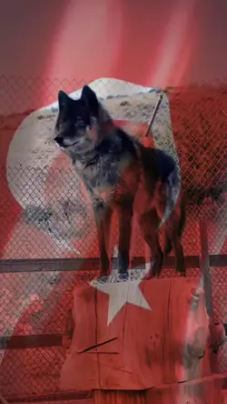 Kırım Kerkük Musul