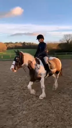 SHE DID SO WELL TDDD