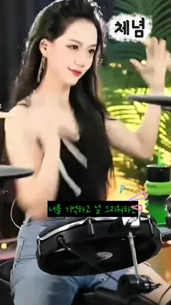 스코네집 체념