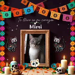 Altar para gatitos
